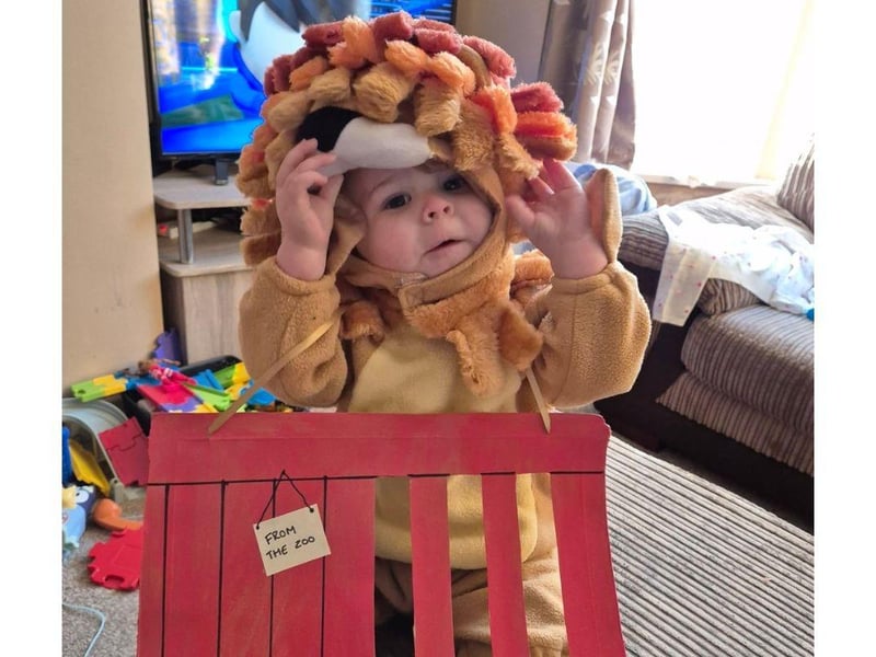 Ezra looks adorable in his lion costume for the book Dear Zoo.