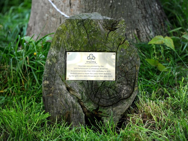 The 12th Portsmouth (Cathedral) Brownies rededicated a tree which was planted by the then Brownies when the group turned 50.
Picture: Sarah Standing (150523-4832)