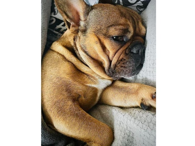 This picture of Luna is absolutely adorable. Thank you Magdalena Ostapczuk for sharing.