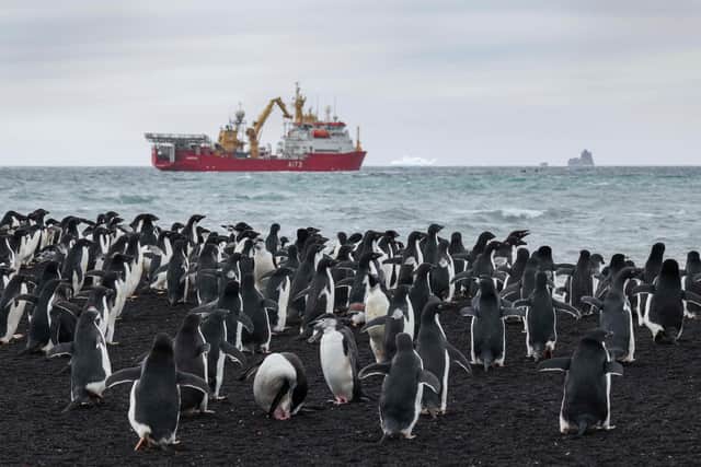 Pictured:  A team from HMS Protector lands on Saunders Island, South Sandwich Islands to collect drone imagery to be used to calculate the numbers of penguins on the island.