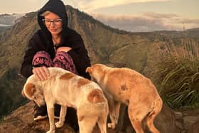 Tereza Oharkova, 37, from Whiteley is a trustee of the charity Lucas Helps Dogs, which helps support street dogs in Sri Lanka