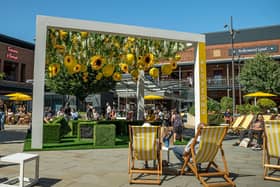 The new blossom display at Gunwharf Quays, Portsmouth. Picture: Umpf