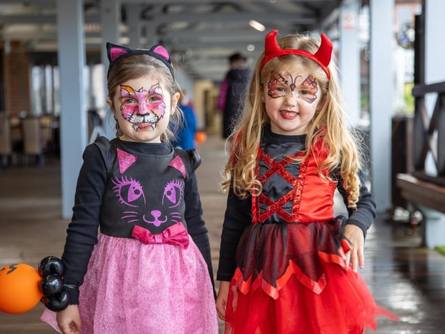 People flocked to Port Solent on Thursday to enjoy the half term entertainment, including arts and craft, face painting and magic shows.Pictured - Harper, 4 and Ivy, 4 from Fareham having their faces paintedPhotos by Alex Shute