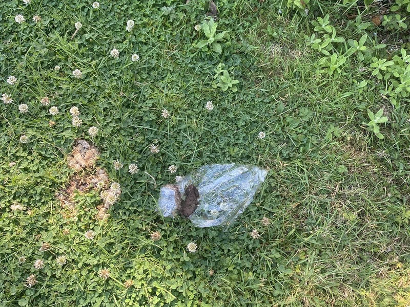 Travellers leave disgusting mess in Waterlooville after week-long stay