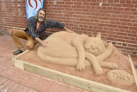 Sandstories is the most recent exhibition at Gosport Museum and Art Gallery.
Picture: Sarah Standing (280723-7236)