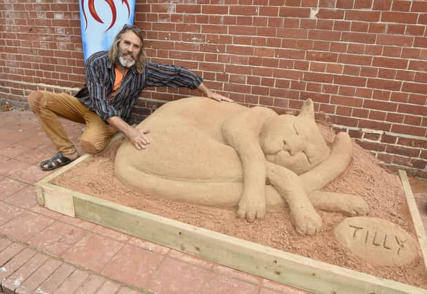 Sandstories is the most recent exhibition at Gosport Museum and Art Gallery.
Picture: Sarah Standing (280723-7236)