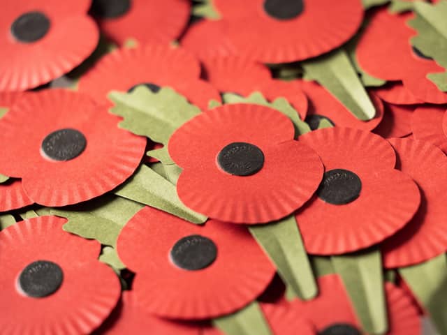 The Royal British Legion's new 100% paper poppy, available for Poppy Appeal from October 2023.