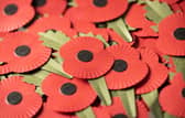The Royal British Legion's new 100% paper poppy, available for Poppy Appeal from October 2023.
