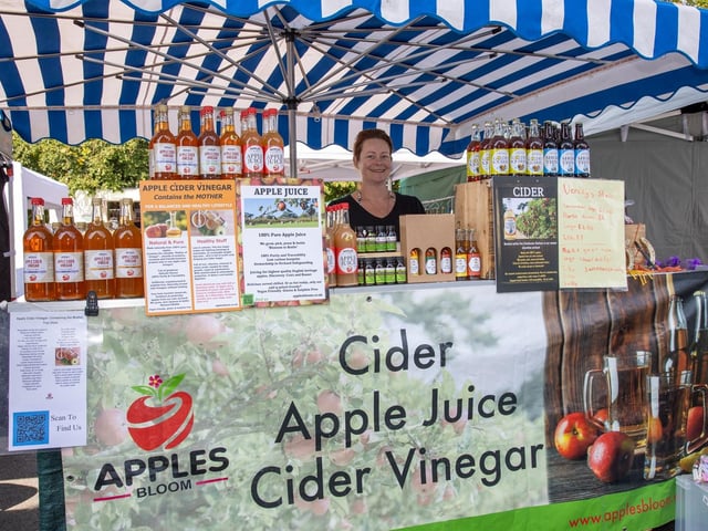 The Denmead Horticultural Society held their 73rd Village Show on saturday afternoon, with various live music acts, Punch & Judy, food and entertainment for all the family.Pictured - Deborah Shooter of Apples BloomPhotos by Alex Shute