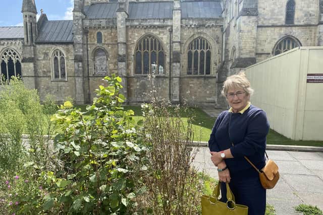 Cllr Sarah Quail and the weeds outside Chichester Cathedral