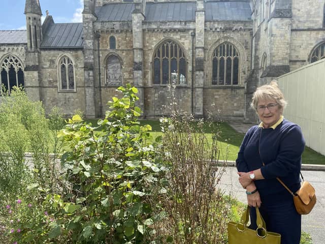Cllr Sarah Quail and the weeds outside Chichester Cathedral