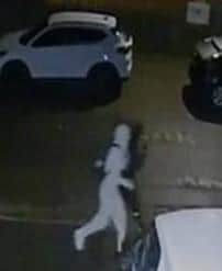 Police are appealing for information. Pic Hants police