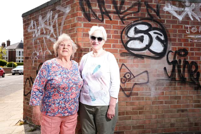 Residents Irene Strange, left, and Sally Istead with graffiti at the top end of Albert Grove, Southsea. They suggest a mural here could be the answer to the repeat problem of nuisance graffiti
Picture: Chris Moorhouse (jpns 150621-12)