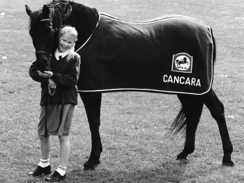 Lloyds Bank famous black horse Cancara paid his first ever school visit to Hayling Island School. The News PP4401