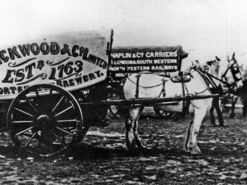 Horse and Carters' Parade, Southsea Common, about 1910