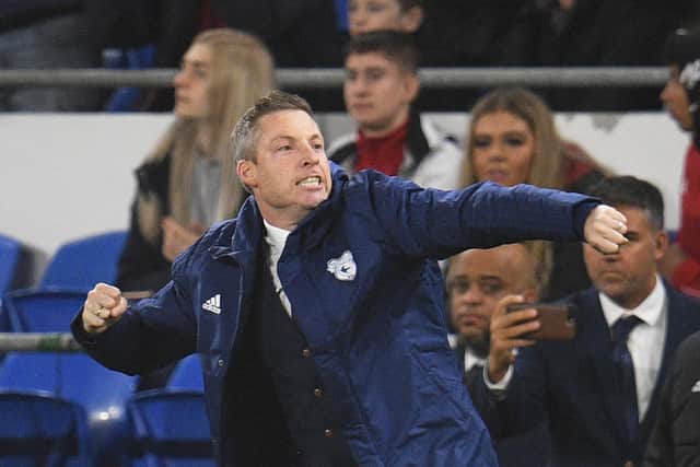 Neil Harris (Photo by Harry Trump/Getty Images)
