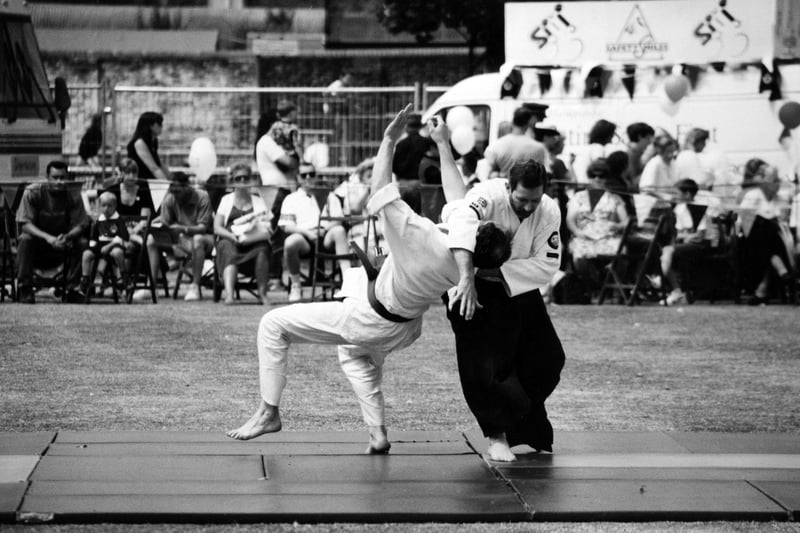 A martial arts display wowed the crowds at Havant Park as part of the 1994 Havant show, July 16 1994. The News PP3435