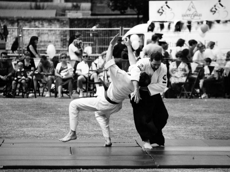 A martial arts display wowed the crowds at Havant Park as part of the 1994 Havant show, July 16 1994. The News PP3435