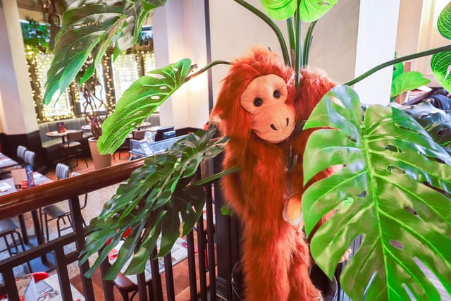 A look inside restaurant, Banana Tree in Gunwharf Quays, Portsmouth. Picture: Habibur Rahman