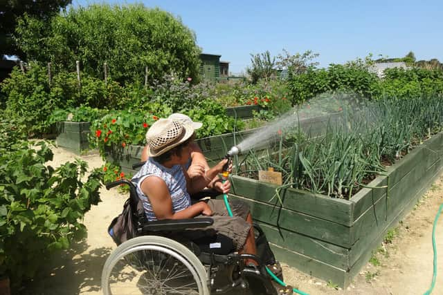 A community garden in Petworth