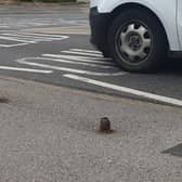 Metal rusty posts left at a pelican crossing at Milton Road. Picture by Karl Jarvis