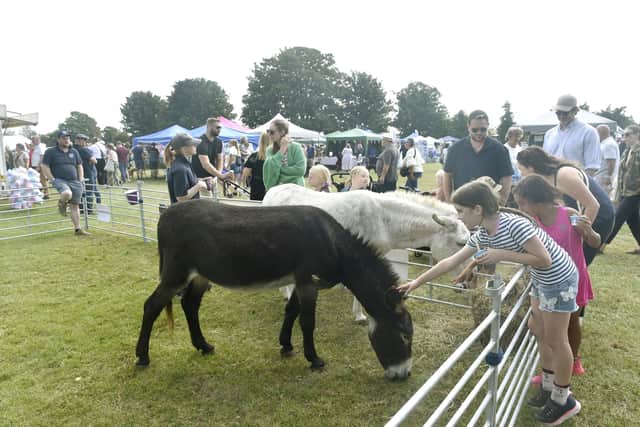 Emsworth Show which took place on bank holiday. Picture: Sarah Standing (260824-174)
