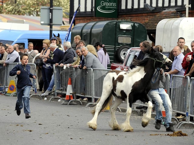 A young man getting a horse back under control at the Wickham Horse Fair. PICTURE: STEVE REID