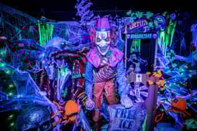 If you are looking for a spooky walk to look around, then the Keydell Nursery Halloween Walk 2024 is the one for you.   Picture: Habibur Rahman