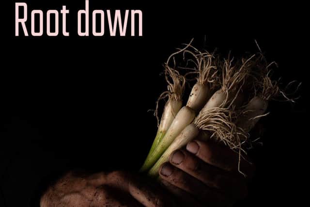 'Root down' exhibition poster displaying a dark background with hands holding spring onions