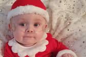 Eight-month-old Cobi. pIcture: Lisa Bryant