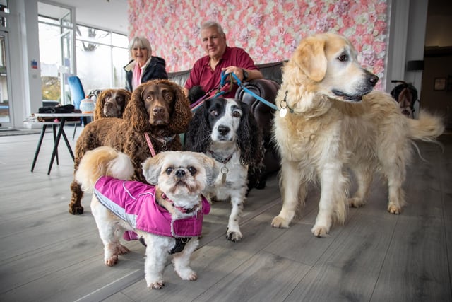 Chloe Wheeler and her family have opened a dog friendly cafe in Southsea, offering a host of dog related activities and refreshments for their owners.
Pictured - Peter Marshall and Cathy Knight with dogs Betsy, Rosie, Poppy, Spencer, gibbs and Jasper
Photos by Alex Shute