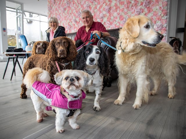 Chloe Wheeler and her family have opened a dog friendly cafe in Southsea, offering a host of dog related activities and refreshments for their owners.
Pictured - Peter Marshall and Cathy Knight with dogs Betsy, Rosie, Poppy, Spencer, gibbs and Jasper
Photos by Alex Shute