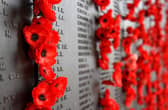 Remembrance Sunday will still be televised by the BBC despite coronavirus (Shutterstock)