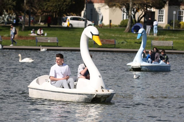 The swans will be out in full force at Canoe Lake this summer and it is always best to wear clothes or a swim suit when getting on board one of these.
