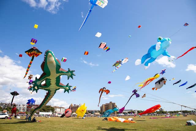 Pictured - Incredible kites on display at the Portsmouth Kite FestivalPhotos by Alex Shute