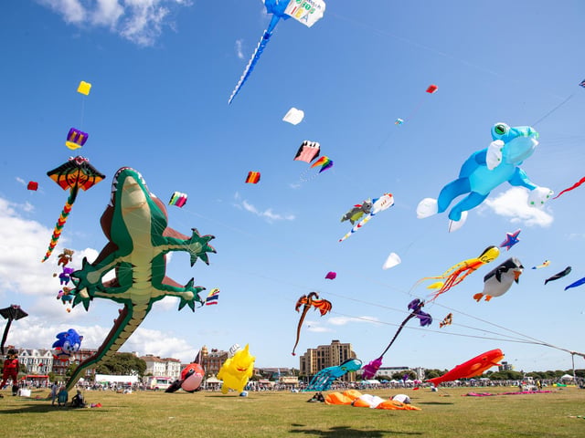 Pictured - Incredible kites on display at the Portsmouth Kite FestivalPhotos by Alex Shute