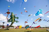 Incredible kites on display at the Portsmouth Kite Festival