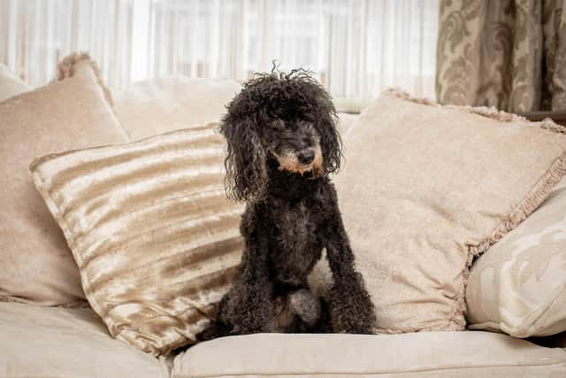 19 year old Bobbie-Thierry at his home in Gosport on January 4. Picture: Habibur Rahman