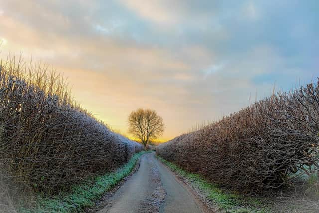 Cold temperatures are forecast for Portsmouth over the weekend. Pictured: Butser Hill at sunrise by Vicky Stovell.in 2022.