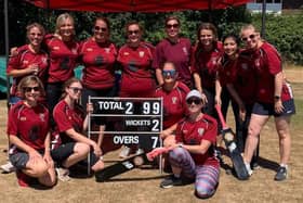 Locks Heath ladies. Back (from left) Kerry Meredith, Kez Hurst, Amy Fernandes, Helen Ilif, Amanda Gray, Jag Kainth, Lyn Hart. Front - Katell Compton, Jess Mills, Sian Mills, Hayley Cousins