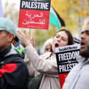 Support for a speaker at a previous rally in Victoria Park. 
Picture: Chris Moorhouse