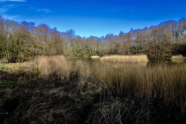 Swanwick Lakes Nature Reserve
Picture: Graham May