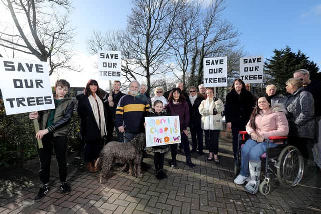 Residents of Military Road, Hilsea, who are at odds with Portsmouth City Council which wants to chop these trees down.
Picture: Chris Moorhouse (010320-11)