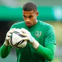 Gavin Bazunu has withdrawn from Republic of Ireland's latest squad.   Picture: Oisin Keniry/Getty Images