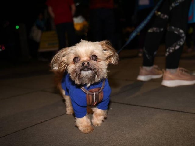 The Southsea Glow Walk on March 18, 2022