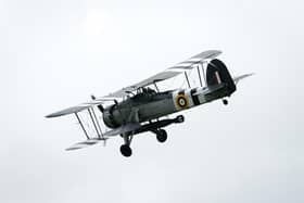 Pictured is: A Swordfish

Picture: Keith Woodland (080621-101)