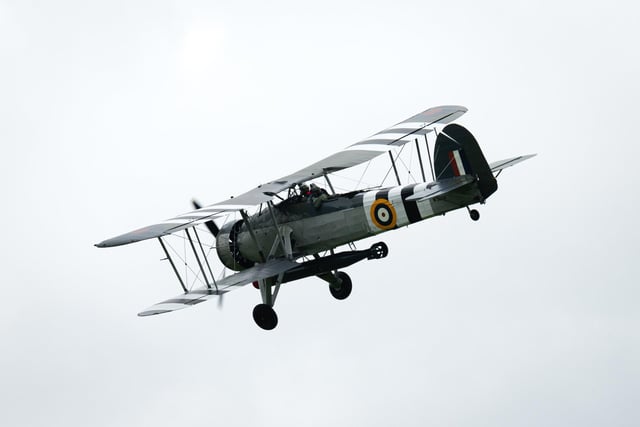 Pictured is: A Swordfish

Picture: Keith Woodland (080621-101)