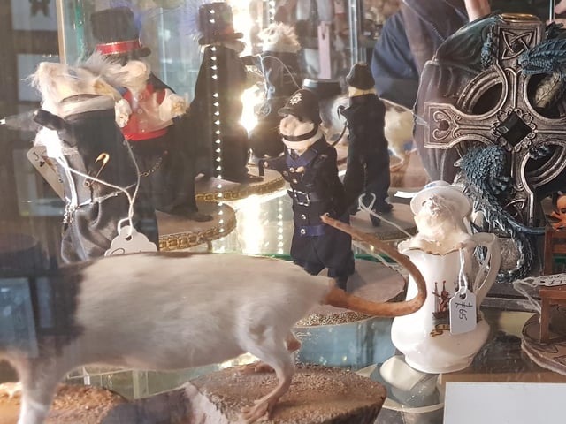 A shelf of animals