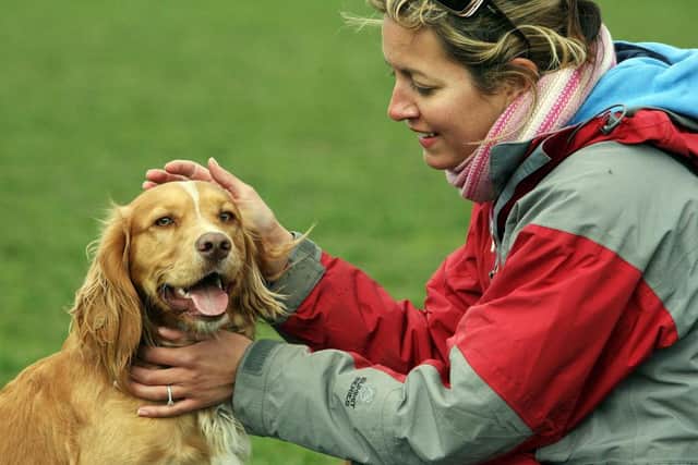 Are pets bad for the environment?