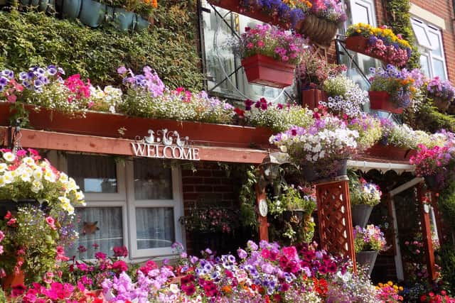 A lovely colourful photo a display of flowers at 51/53 Highland Road, Southsea in 2018. Picture: Irene Strange